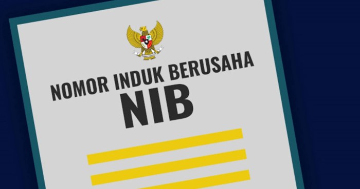 Cara daftar nib online