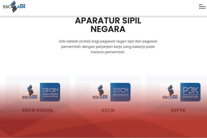 Cara daftar sscasn