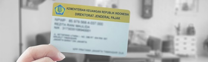 Cara mengetahui email yang terdaftar di npwp