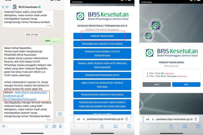 Cara daftar bpjs kesehatan pemerintah