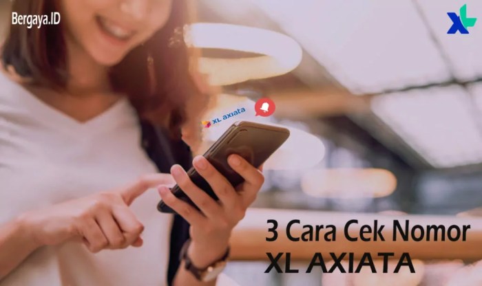 Cara mengecek no xl yang sudah terdaftar