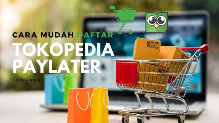 Cara daftar paylater tokopedia