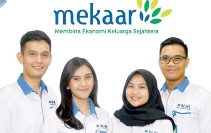 Cara daftar pnm mekar online