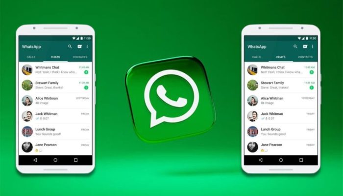 Cara mendaftar whatsapp dengan nomor yang sama