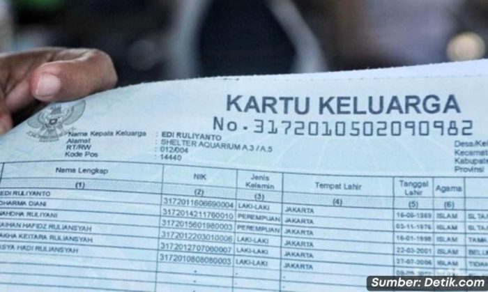 Cara mengecek kk terdaftar atau tidak