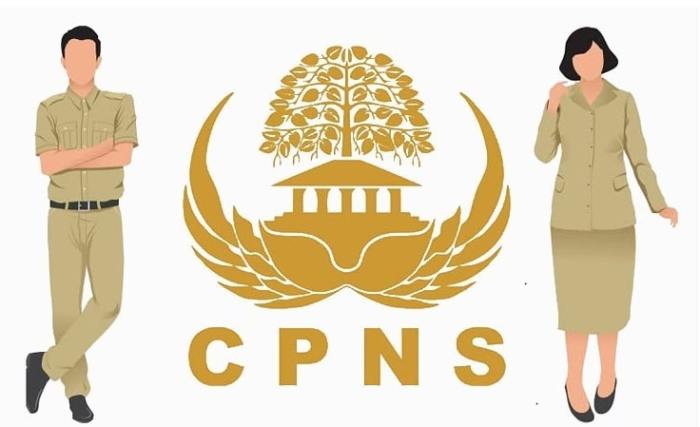 Cara daftar cpns