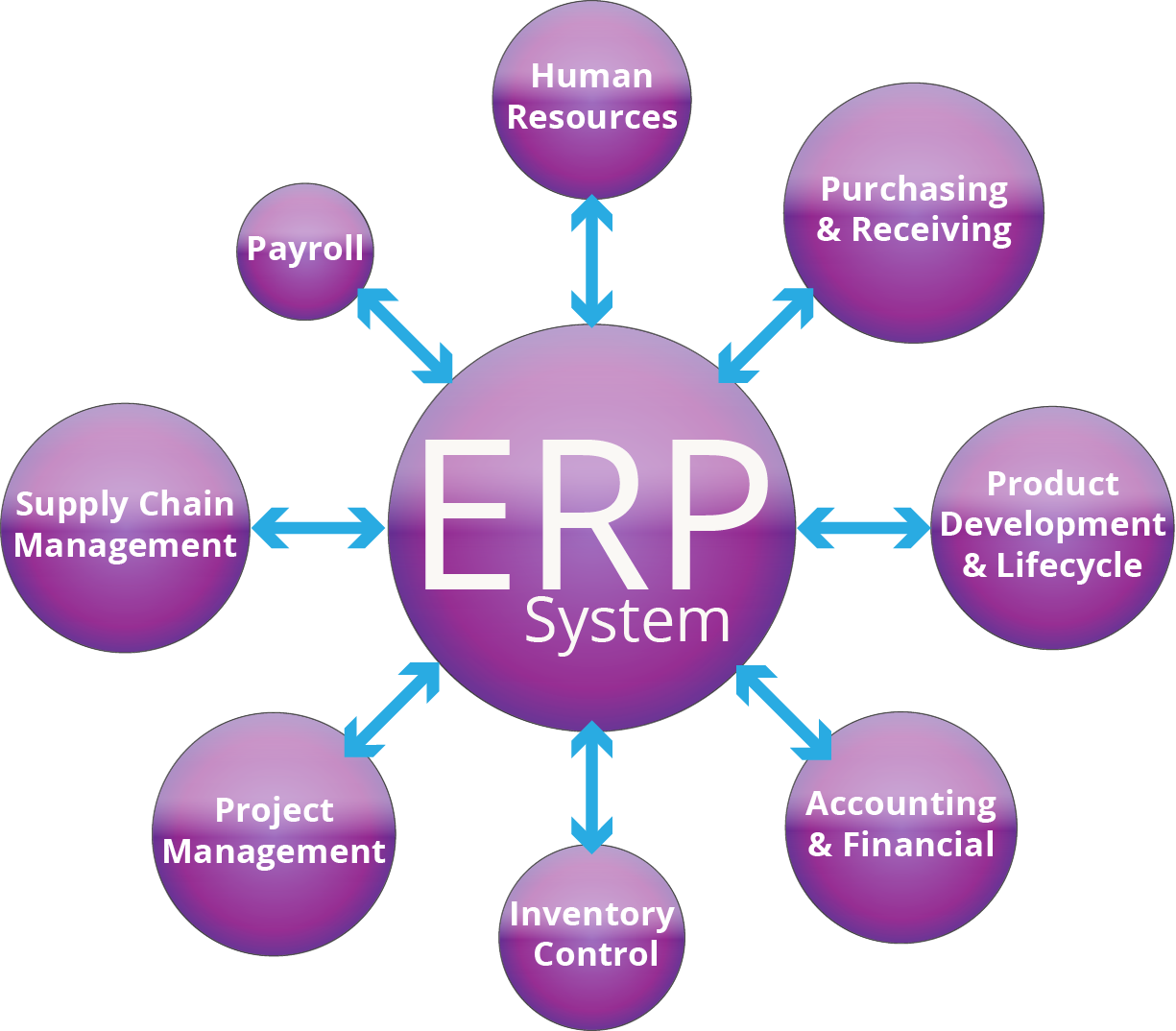 Enterprise resource planning (ERP) software