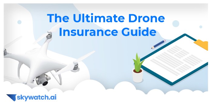 Insurance company flew a drone over my house