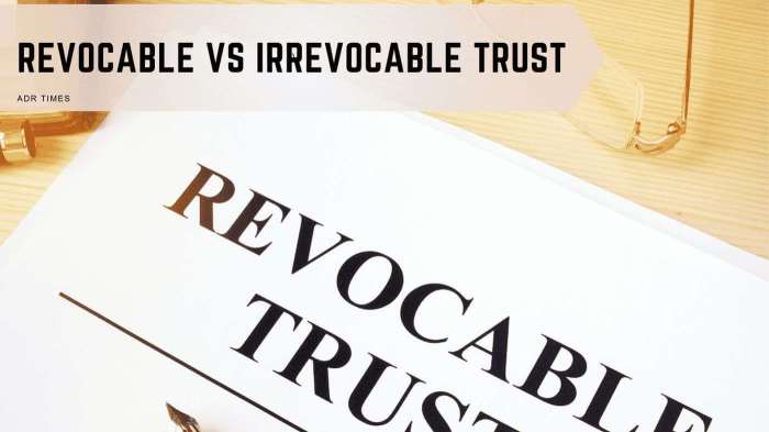 How an irrevocable trust could pay for education