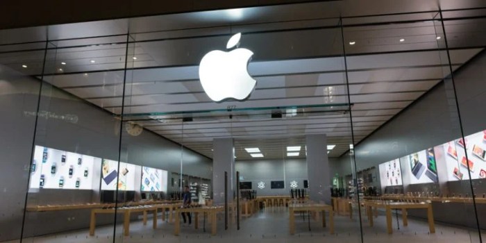 Apple aapl stock gets downgraded to sell ahead of earnings should investors be worried