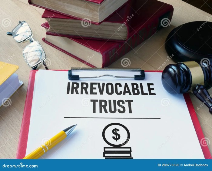 How an irrevocable trust could pay for education